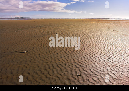 Plage de l'océan immense plage de sable sur l'île de Vancouver, sur un coucher de soleil Banque D'Images