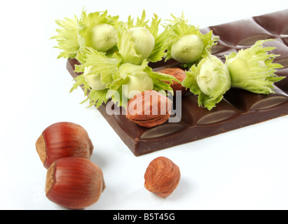 Morceau de chocolat et les noix en bois sur fond blanc Banque D'Images