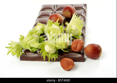 Morceau de chocolat et les noix en bois sur fond blanc Banque D'Images