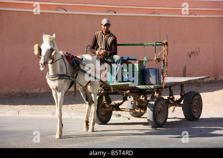 Des ânes et des pilotes dans les rues de Dakhla (Sahara occidental Banque D'Images