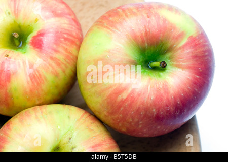 Variété de pommes honeycrisp crisp juteuse et sucrée un croisement entre l'or et de miel macoun cultivés au Canada Banque D'Images