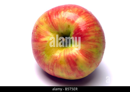 Variété de pommes honeycrisp crisp juteuse et sucrée un croisement entre l'or et de miel macoun cultivés au Canada Banque D'Images