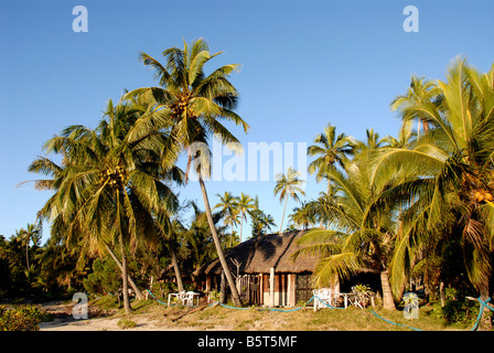 Oro bay Pines island Nouvelle Calédonie Banque D'Images