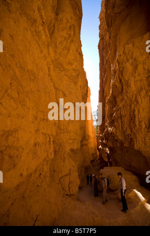 Queens Navajo Trail Bryce Canyon National Park Utah Banque D'Images