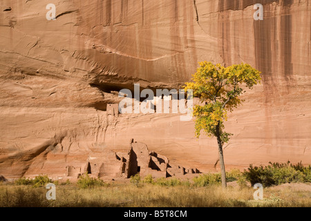 Maison Blanche, Canyon de Chelly réserve Navajo en Arizona Banque D'Images