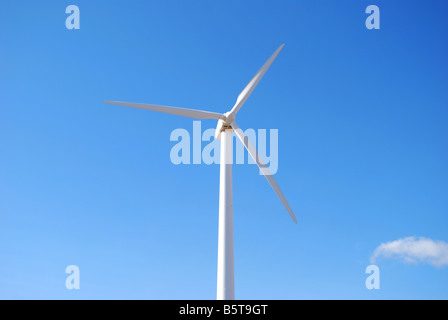 Éolienne, Parque Eolico El Medano, Canaries, Tenerife, Espagne Banque D'Images