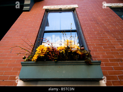 Boîte à fleurs on windowsill, Bunker Hill, Boston, New England USA Banque D'Images