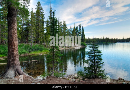 Une vue tranquille de Twin Lakes Mammoth Banque D'Images