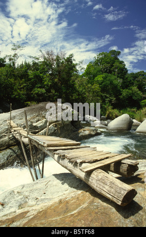 Un pont dans le parc national Chirripó proche de San Gerardo de Ricas Costa Rica Amérique Centrale Banque D'Images