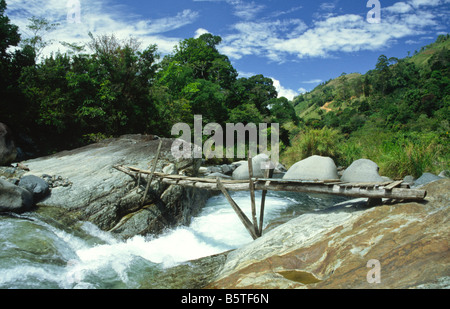 Un pont dans le parc national Chirripó proche de San Gerardo de Ricas Costa Rica Amérique Centrale Banque D'Images