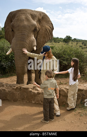 L'Afrique du Sud Sun City propriété privée dans la partie nord du pays se nourrir les éléphants Banque D'Images