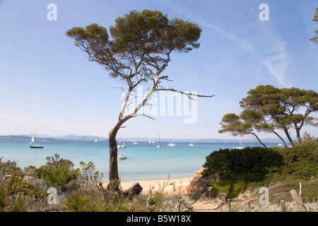 Île de Porquerolles Port-Cros Parc national de Hyï ½Res¿France Europe Banque D'Images