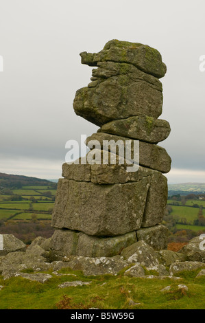 Nez Bowermans dans le Dartmoor National Park Banque D'Images