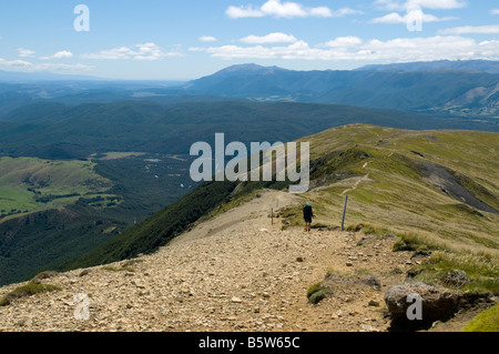 Sur le Robert Ridge, près de St Arnaud, Nelson Lakes National Park, South Island, New Zealand Banque D'Images