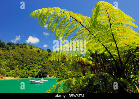 Bay in Te Mahia, Kenepuru Sound, Marlborough Sounds National Park, Île du Sud, Nouvelle-Zélande, Février 2007 Banque D'Images