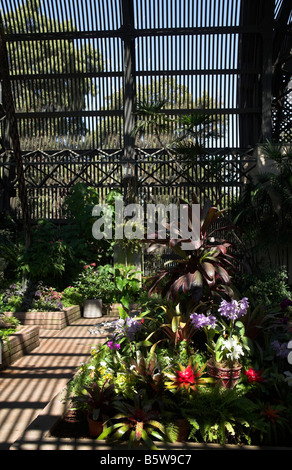 Le bâtiment de botanique (vue intérieure) à Balboa Park, San Diego, California, USA Banque D'Images