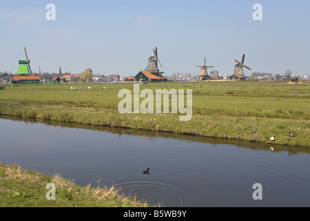 Les moulins à vent dans le musée en plein air Zaanse Schans Banque D'Images