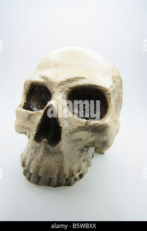 Crâne artificiel Banque D'Images