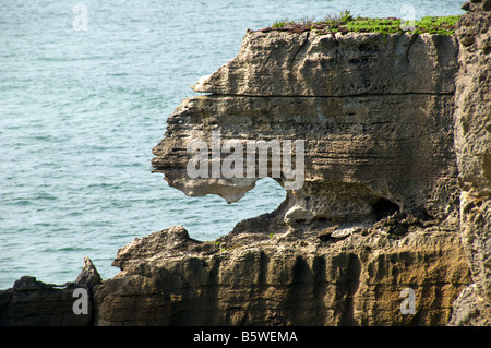 Les formations de roche de crêpes à la dolomite Point, Punakaiki, île du Sud, Nouvelle-Zélande Banque D'Images