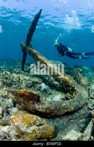 Scuba Diver et grande ancre sur le site de l'épave, Grand Cayman. Banque D'Images