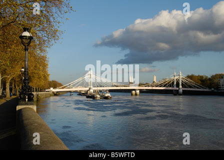 Albert Bridge à partir de Chelsea Chelsea Embankment London England Banque D'Images