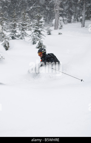 Ski et snowboard au cours de ski et de l'héliski cat voyages de ski dans la région de Whistler en Colombie-Britannique Banque D'Images