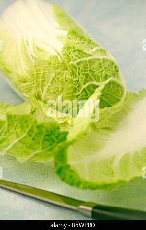 Chou chinois Bok choy Brassica pekinensis Banque D'Images