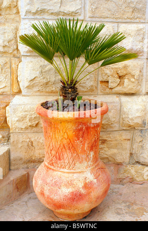 Vase fabriqué par kaolin pour utilisation décorative extérieure Banque D'Images