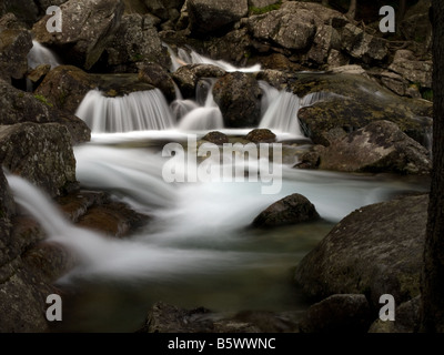 Ruisseau de montagne à Hautes Tatras, Slovaquie Banque D'Images