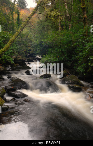 Rapids près de Torc Waterfall, Kerry, Irlande Banque D'Images