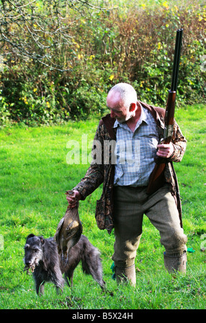 Un chasseur portant un fusil de chasse prend un faisan tué hors de la bouche de l'extraction de chien de travail sur gibier chasse Devon Banque D'Images