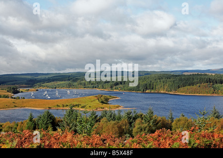 Kielder Water 1287 Forêt de Kielder BRITANNIQUE Northumberland Banque D'Images