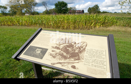 Le champ de maïs au champ de bataille Champ de bataille National d'Antietam, Maryland Banque D'Images