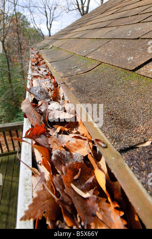 Gouttières bouchées avec les feuilles tombées. Banque D'Images