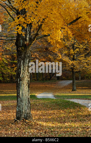 Chemin de gravier jusqu'à l'automne dans les bois et forêts Recherche Bernheim Arboretum Bullitt Comté Ohio Banque D'Images