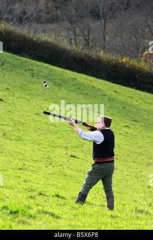 Un chasseur de faisan tir shot gun holding au cours d'un jeu axé sur l'analyse d'oiseaux organisé sur les terres privées dans le sud du Devon en Angleterre Banque D'Images