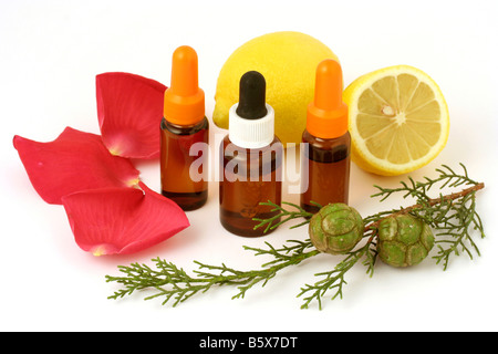 Essences d'huile. Rose, Chypre et le citron. Rosa sp., Cupressus sempervirens et Citrus limonia Banque D'Images