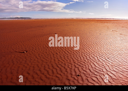 Immense océan beach sur l'île de Vancouver, sur un coucher de soleil Banque D'Images