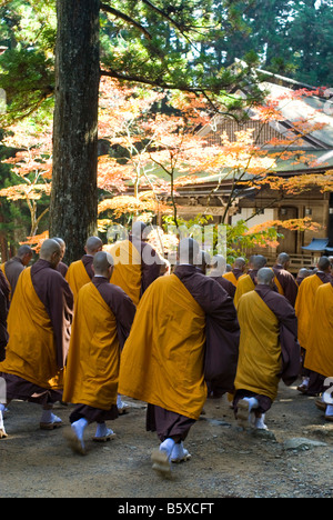 Les moines shingon bouddhistes prient dans Danjo Garan KOYASAN complexe monastique en Japon Banque D'Images