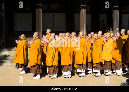 Les moines shingon bouddhistes prient dans Danjo Garan KOYASAN complexe monastique en Japon Banque D'Images