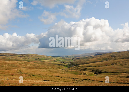 1225 North Pennines Royaume-uni Durham Teesdale Banque D'Images