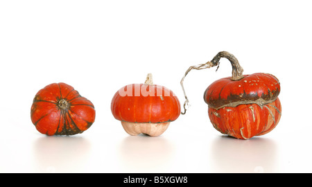 Trois citrouilles isolé de couleur orange sur fond blanc Banque D'Images