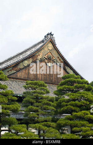 Ninomaru Palace dans le château de Nijo Kyoto au Japon Banque D'Images