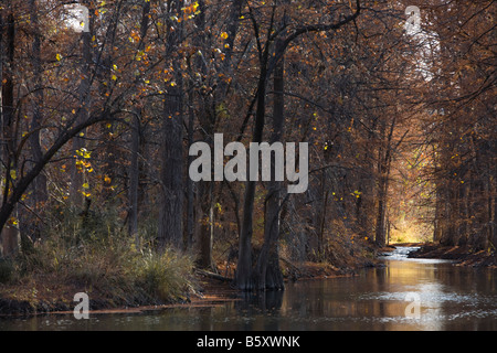 Rivière, ruisseau, ruisseau ou Paysage dans Texas Hill Country durant la saison automne chute Banque D'Images