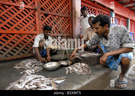 Marché de poisson de MADURAI TAMILNADU Banque D'Images