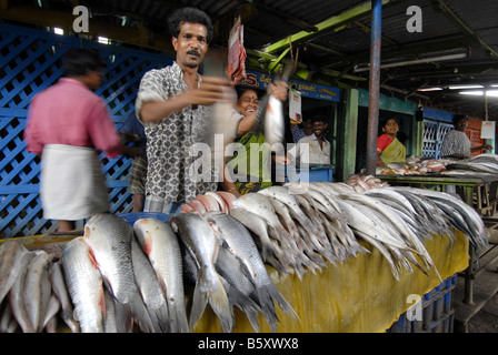 Marché de poisson de MADURAI TAMILNADU Banque D'Images