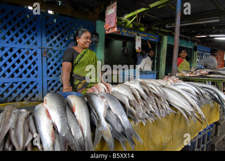 Marché de poisson de MADURAI TAMILNADU Banque D'Images