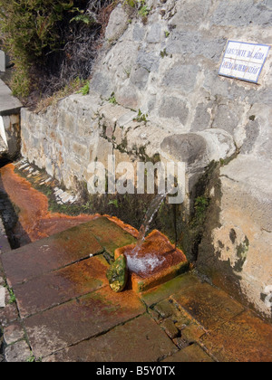 Printemps avec de l'eau minérale naturellement gazeuse à Furnas, São Miguel, Açores, Portugal Banque D'Images