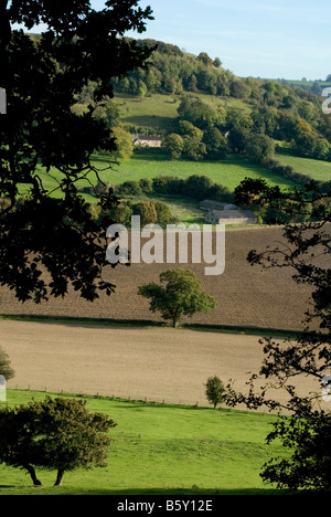 Paysages des Cotswolds, Gloucestershire, en Angleterre Banque D'Images