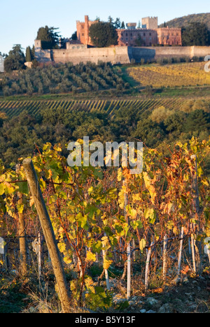 Chianti Sienne vignes à l'automne avec le Castello di Brolio siège du Baron Ricasoli estate Banque D'Images